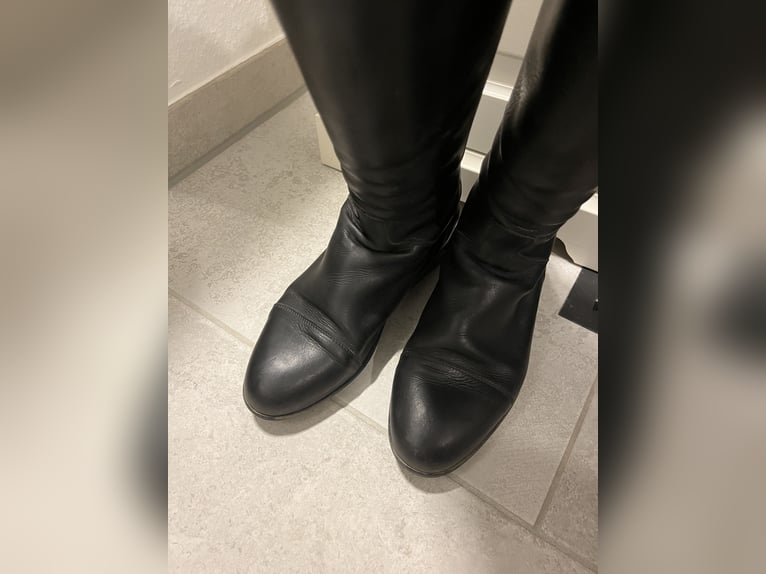 Sergio Grasso Dressurstiefel Gr 39/49/36