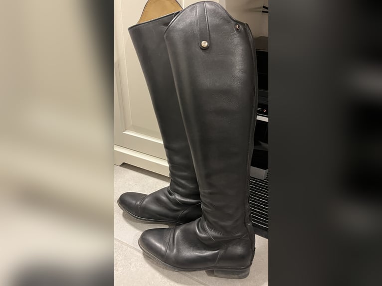 Sergio Grasso Dressurstiefel Gr 39/49/36
