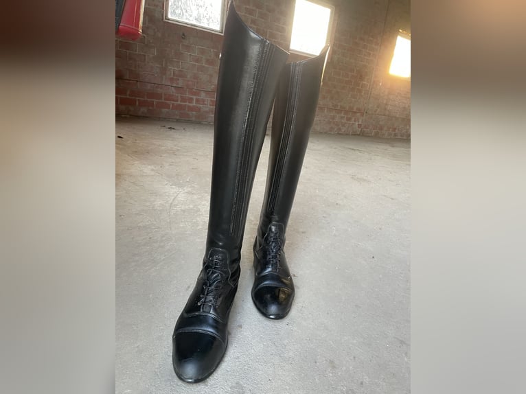 Sergio Grasso Reitstiefel Größe 39