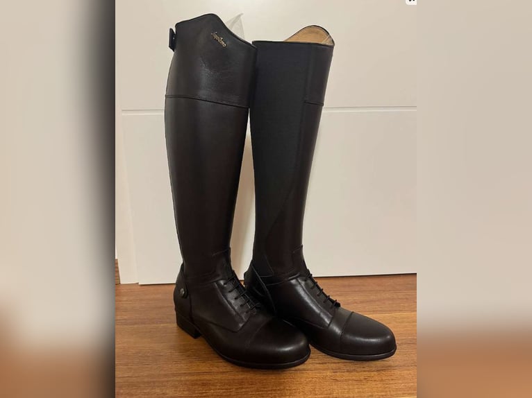 ✨ Sergio Grasso Reitstiefel – NEU & ungetragen ✨