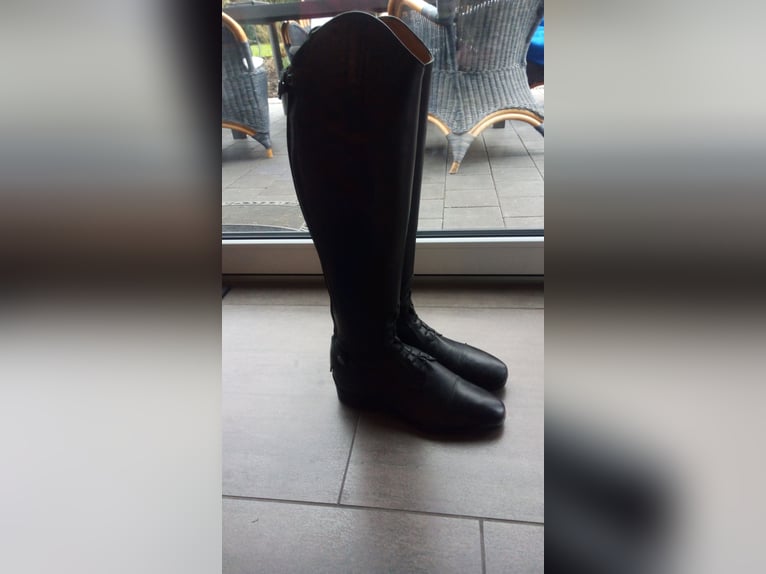 Steeds Reitstiefel Brasilia 2× getragen