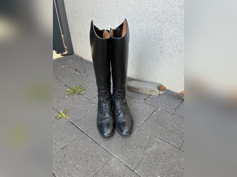 Steeds Reitstiefel