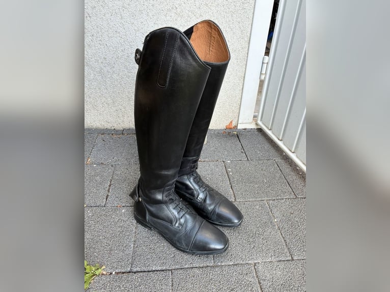 Steeds Reitstiefel