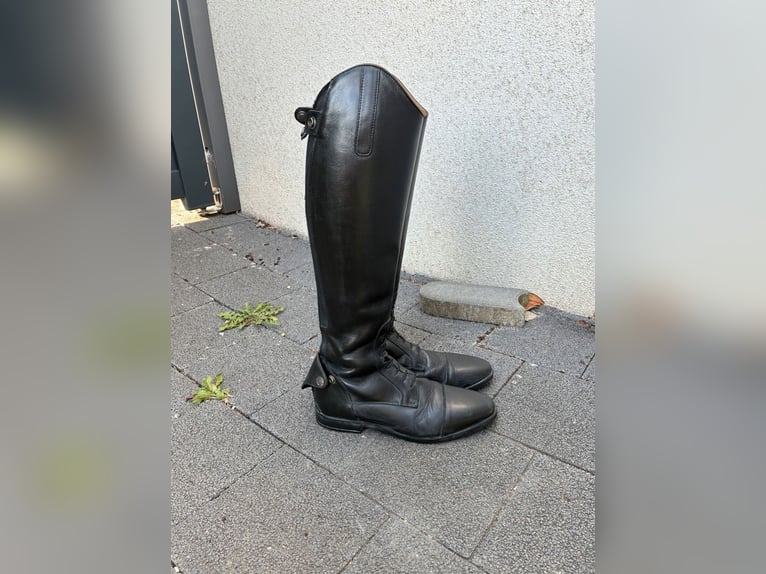 Steeds Reitstiefel