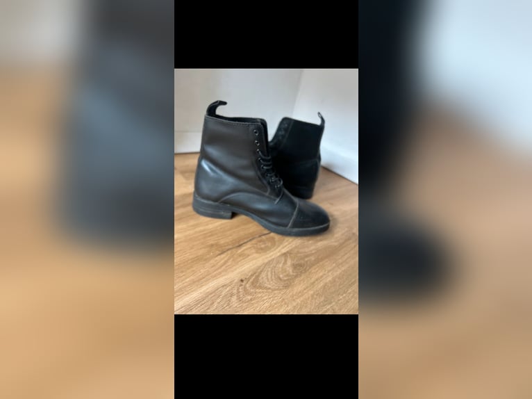 Steeds Stiefelette Reitsport Stiefel Krämer 38