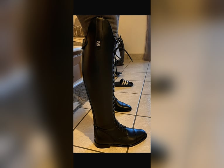 Traumhafte Dressurstiefel zu verkaufen 