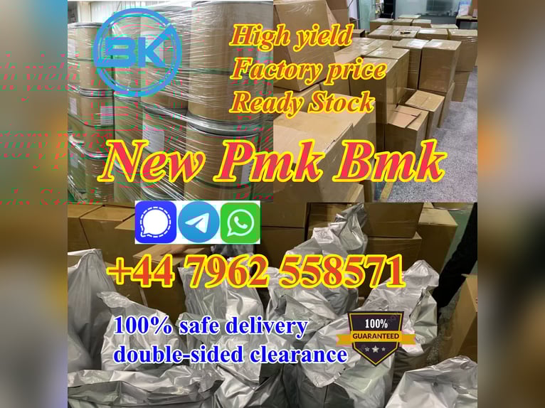 2025 latest product new pmk powder with top quality trusted factory 
