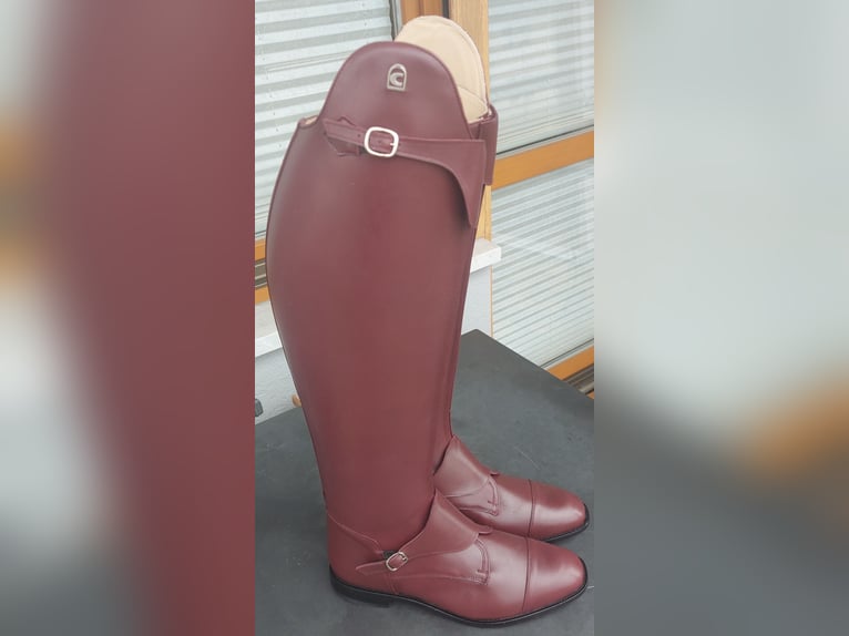 Polo Reitstiefel von Cavalo
