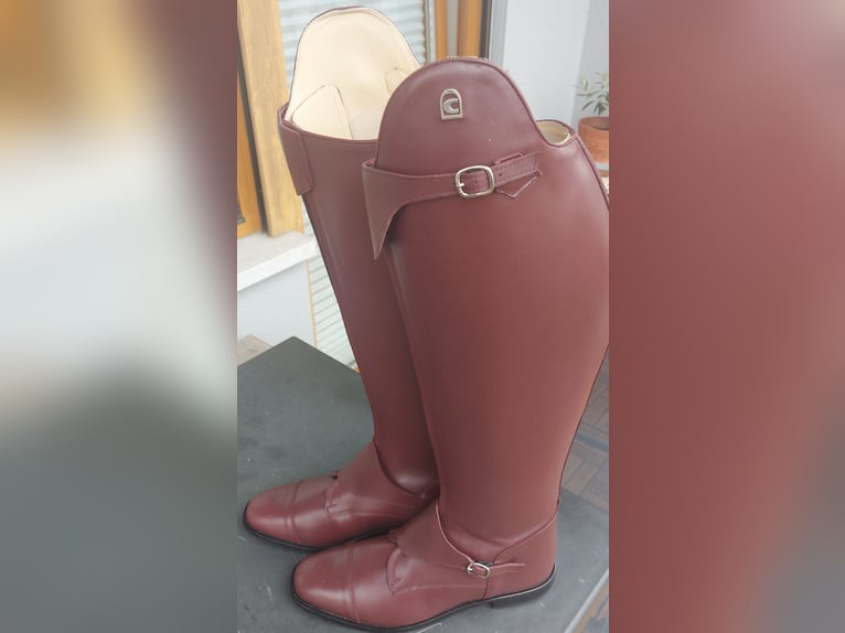 Polo Reitstiefel von Cavalo