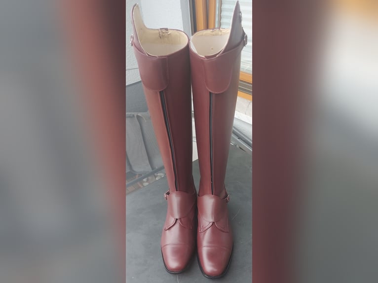 Polo Reitstiefel von Cavalo