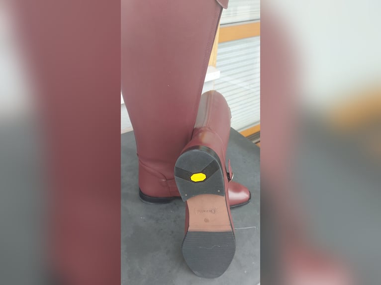 Polo Reitstiefel von Cavalo