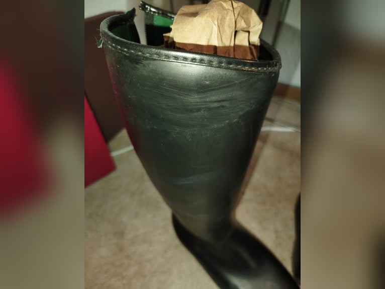 Reitstiefel 