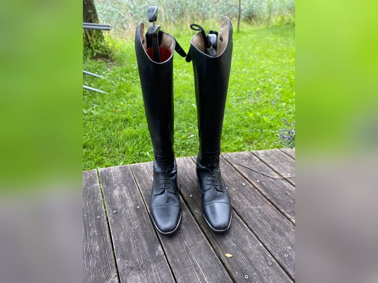 TATTINI Reitstiefel Neu