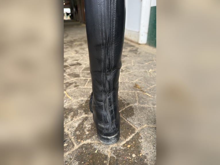 Cavallo Reitstiefel