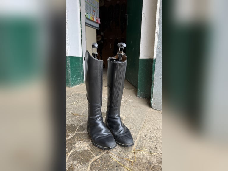 Cavallo Reitstiefel