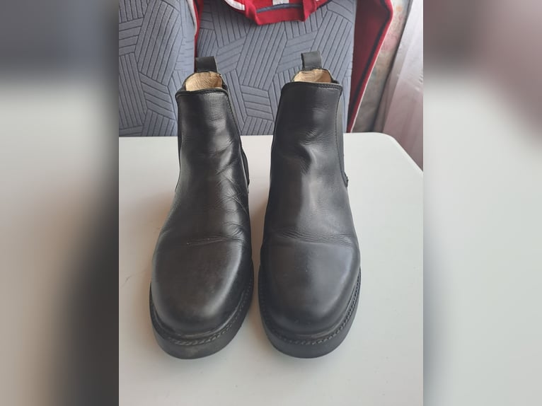 Reitstiefel, Helme, Schutzwesten,...