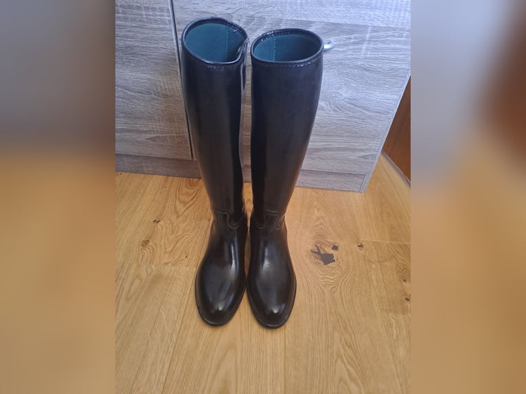 Reitstiefel, Helme, Schutzwesten,...