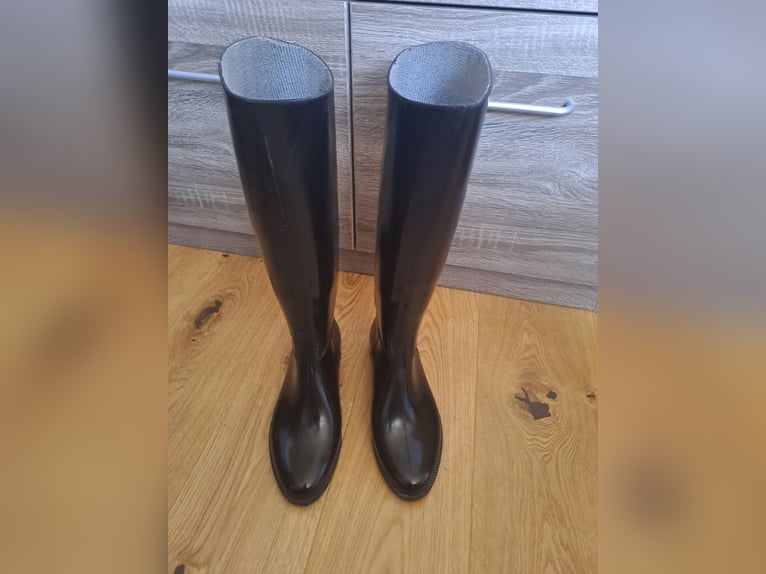 Reitstiefel, Helme, Schutzwesten,...