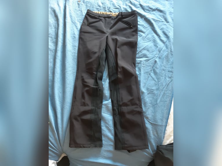 Reitstiefel, Helme, Schutzwesten,...