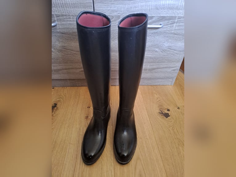 Reitstiefel, Helme, Schutzwesten,...