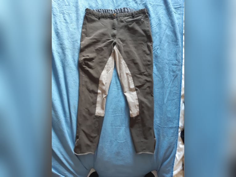 Reitstiefel, Helme, Schutzwesten,...