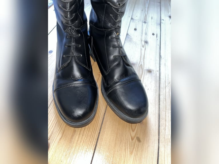 Reitstiefel QHP Schwarz 