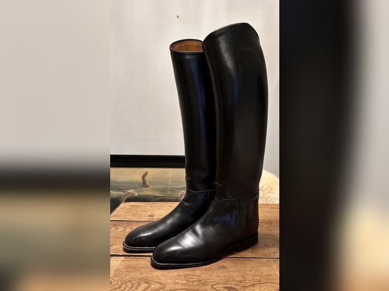 Königs Reitstiefel Dressurstiefel . 7 / 40