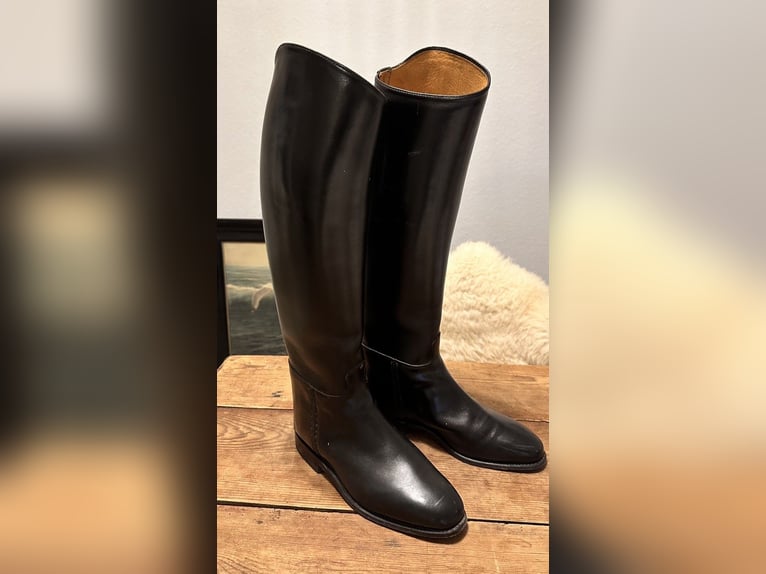 Königs Reitstiefel Dressurstiefel . 7 / 40
