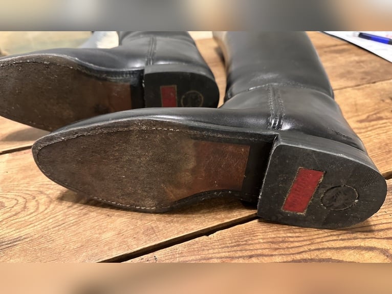 Königs Reitstiefel Dressurstiefel . 7 / 40