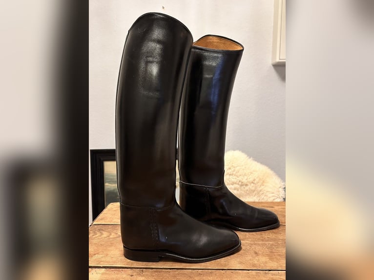 Königs Reitstiefel Dressurstiefel . 7 / 40
