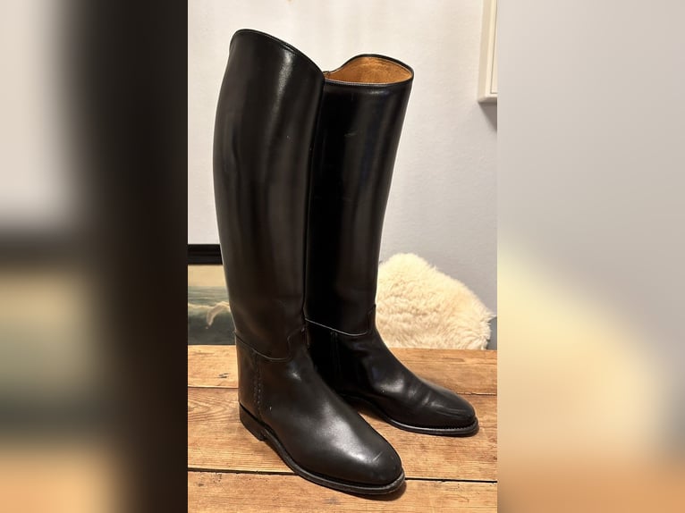 Königs Reitstiefel Dressurstiefel . 7 / 40