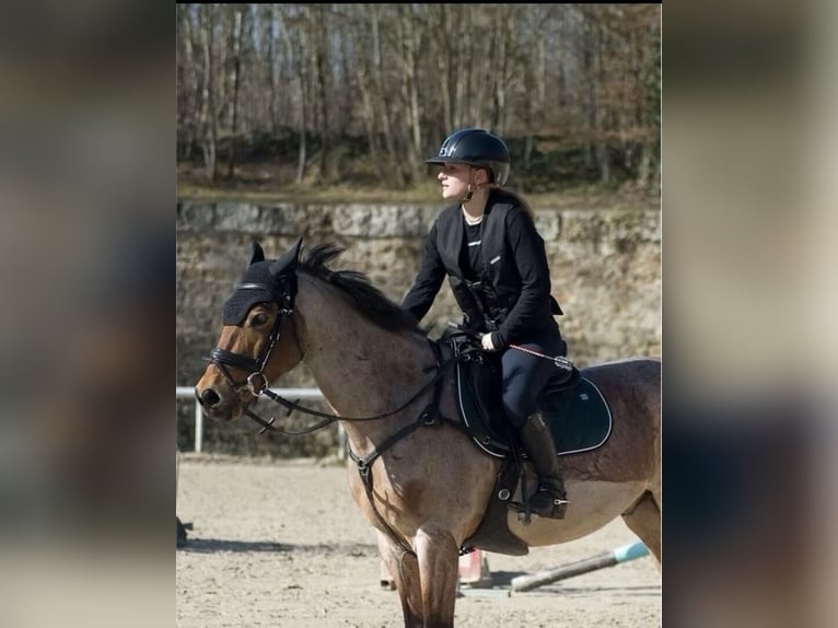 Hit Air Airbag Reitweste Sicherheitsweste Springweste Airbagweste 