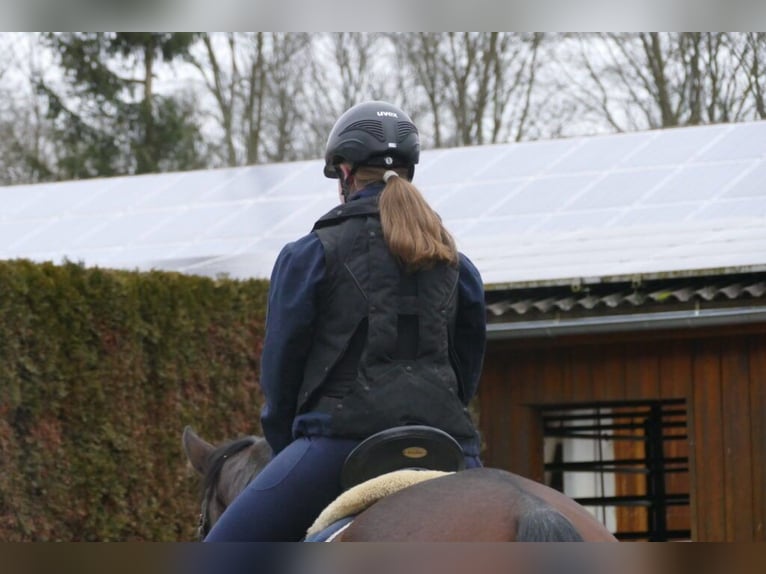 Hit Air Airbag Reitweste Sicherheitsweste Springweste Airbagweste 