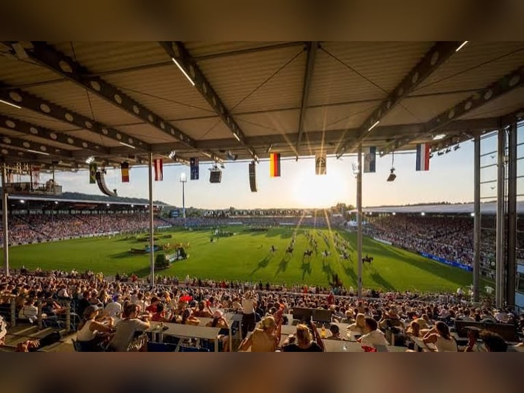 2 Tickets World Championships Aachen 2026 Dressur Dauerkarten
