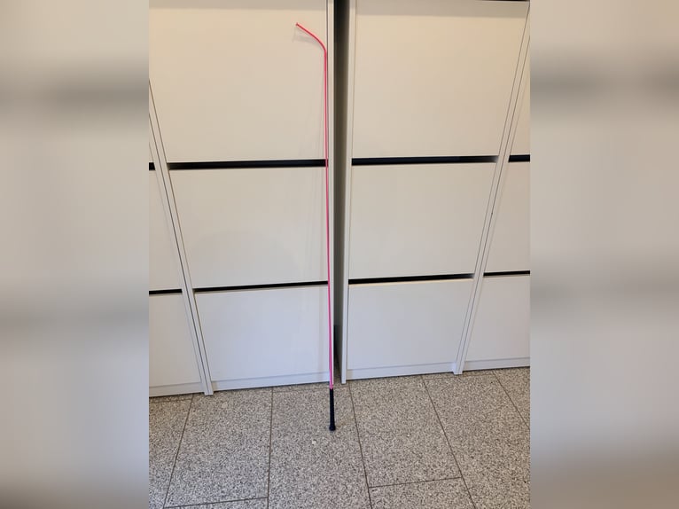 Dressurgerte Neu