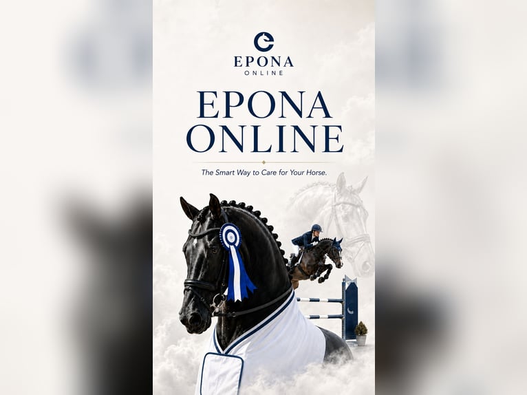 EPONA ONLINE – Digitale Pferdeverwaltung für Pferdebesitzer und Reiter