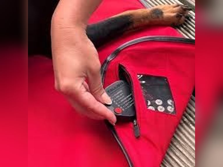 EQUUSIR BIOS HOME Hundedecke – Mehr Wohlbefinden für Deinen Hund