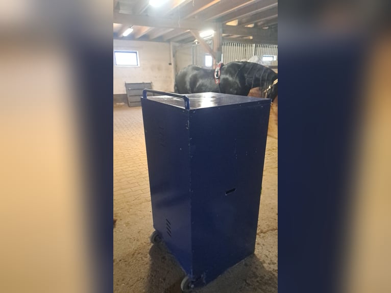 Fahrbarer Sattelschrank 120x60x60cm