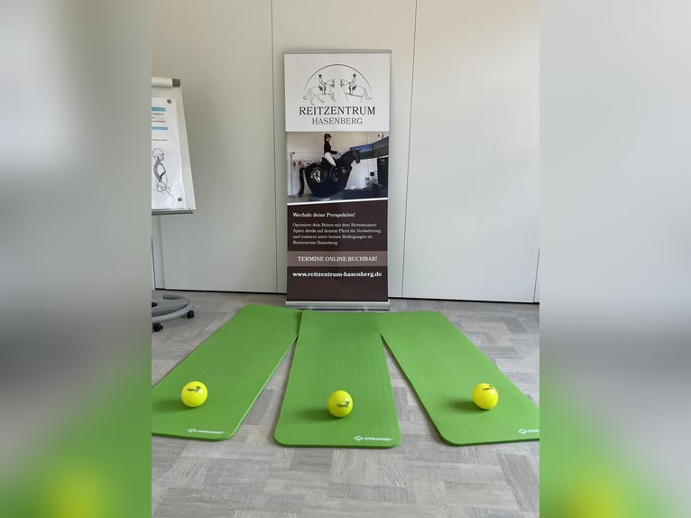 Feiner reiten. Besser punkten. Mit professioneller Sitzschulung auf dem Racewood®-Reitsimulator