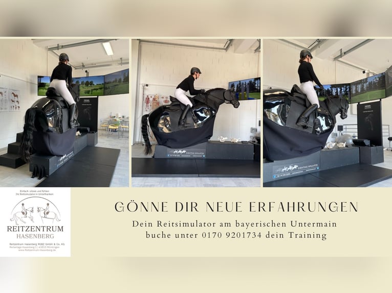 Feiner reiten. Besser punkten. Mit professioneller Sitzschulung auf dem Racewood®-Reitsimulator