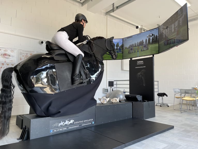 Feiner reiten. Besser punkten. Mit professioneller Sitzschulung auf dem Racewood®-Reitsimulator