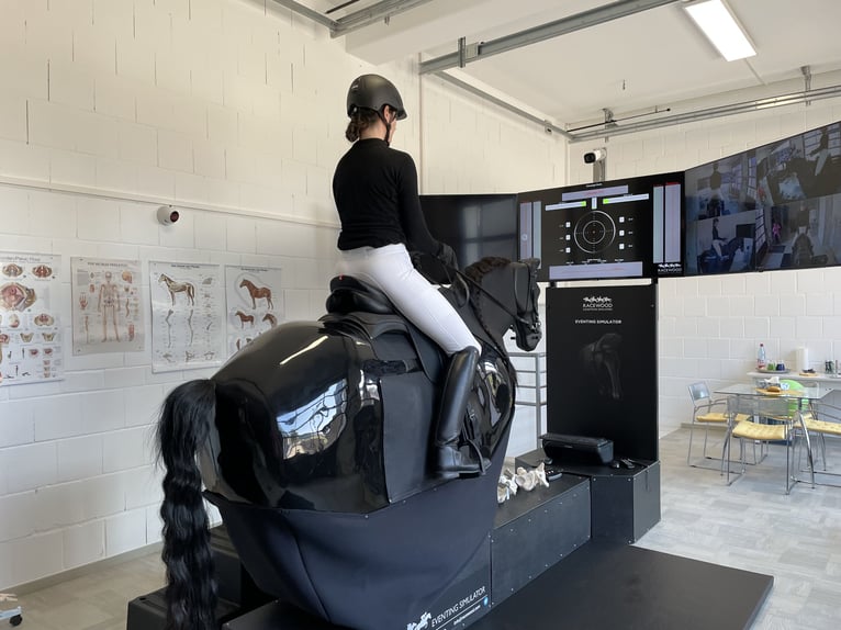 Feiner reiten. Besser punkten. Mit professioneller Sitzschulung auf dem Racewood®-Reitsimulator