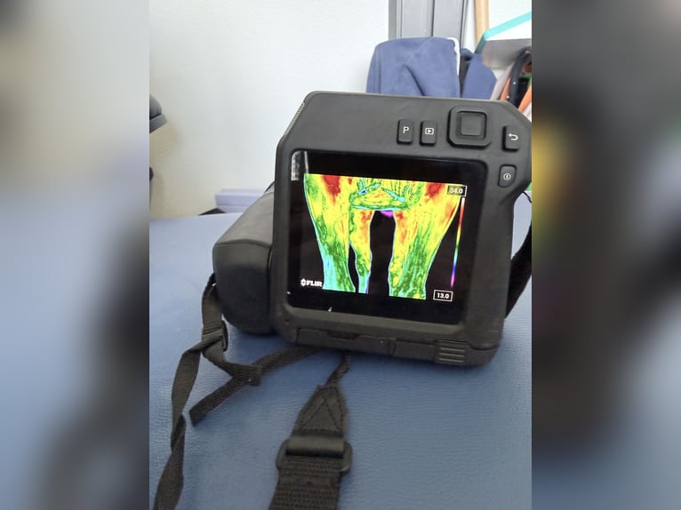 Flir T530 Wärmebildkamera