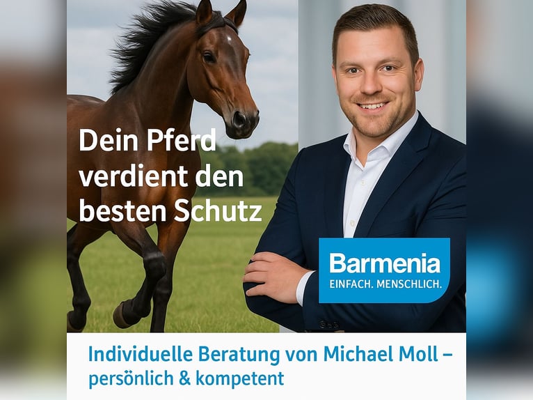 Pferde OP-Versicherung 