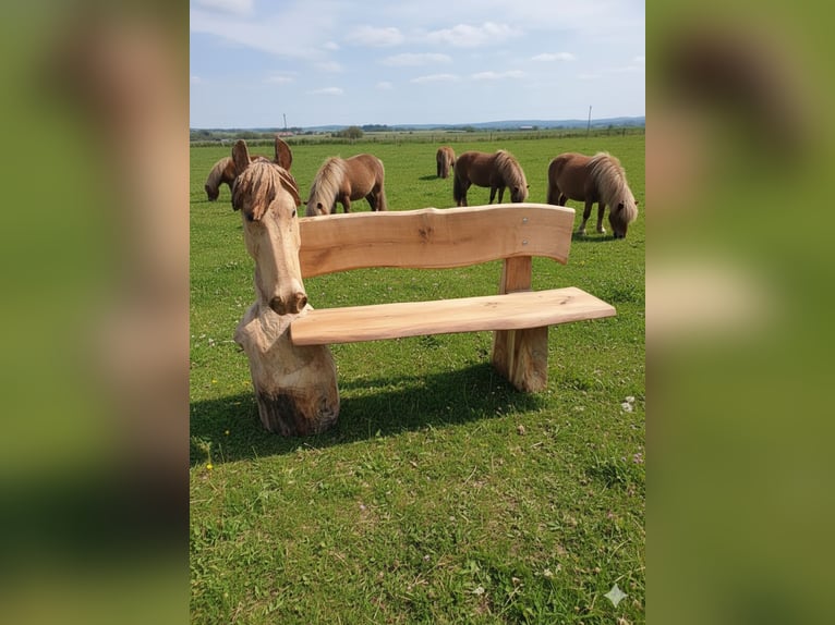 Pferdebank Holzbank Eiche Pferdezubehör Gartenbank Bank Isländer
