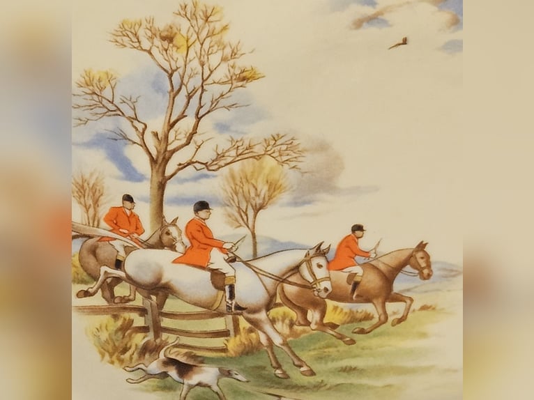 Porzellan Service - "Parforce-Jagd" - Teeservice Regency - 22-tlg