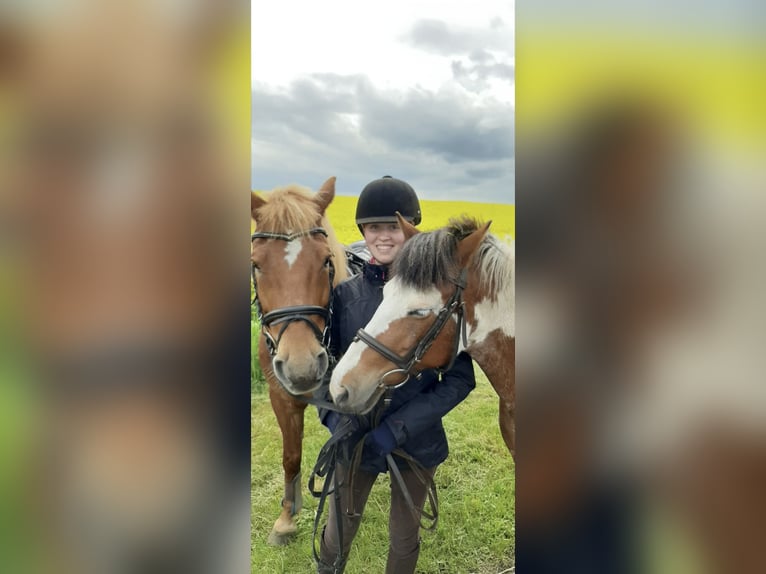 Professioneller Reitunterricht zu zweit auf zwei tollen Ponys 🐴✨