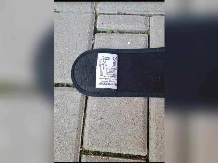 Rückenschutz für Kinder 