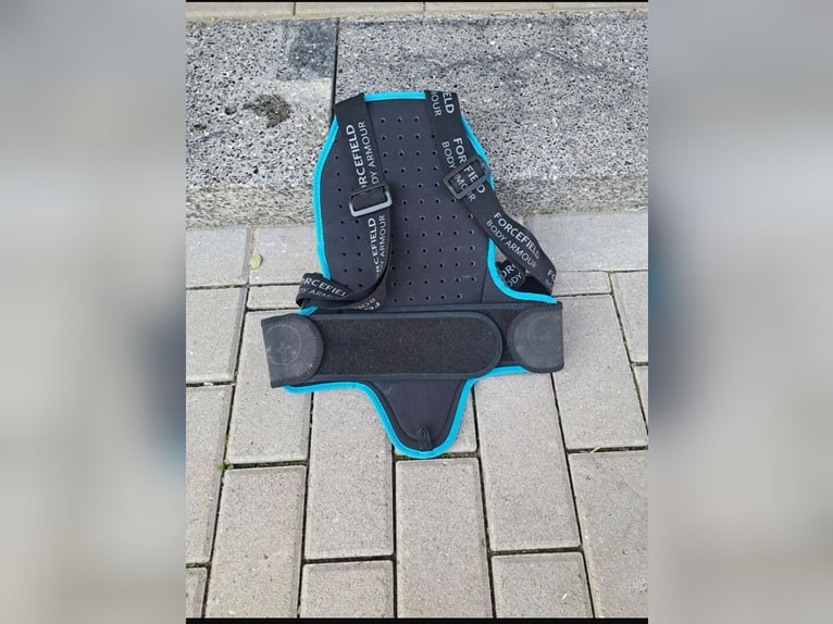 Rückenschutz für Kinder 