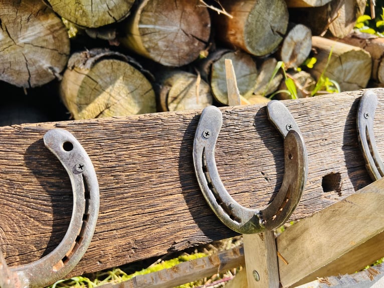 Rustikale Garderobe aus Massivholz